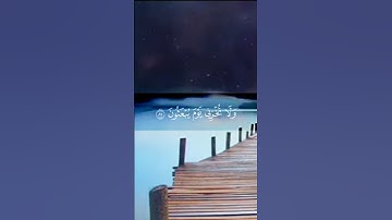 ولا تخزني يوم يبعثون | #قران_كريم #ترتيل #قرآن #سورة #tarteel #ياسر_الدوسري