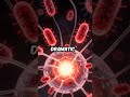 The Microscopic War Zone Under Your Bandaid