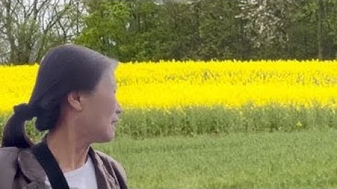 #180 : Lâu Rồi Qua Biên Giới Đức Đi Chợ  | Ngắm Cánh Đồng Hoa Cải Vàng Rực