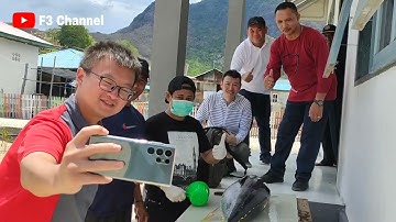 POTONG IKAN TUNA SASHIMI DI PULAU KOJA DOI MAUMERE NTT|ORANG JEPANG INI SAMPAI MINTA FOTO BARENG