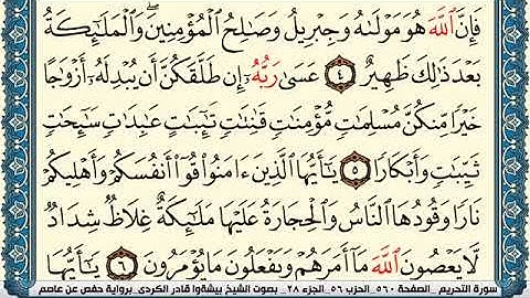 سورة التحريم مكتوبة بيشةوا قادر الكردي Surah Al Tahreem Peshawa Qadr Al Kurdi