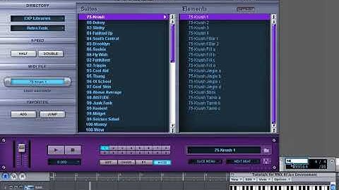 SAGE STYLUS RMX GUIDE