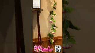 IMG 4666 LM 5 edited V1