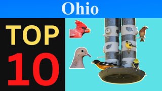 Top 10 Feeder Birds of Ohio [Brief]