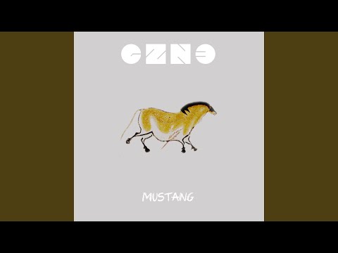 在 YouTube 上观看 Mustang