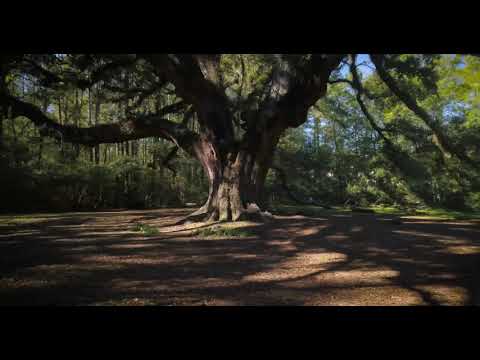 Lichgate en High Road en Tallahassee, Florida