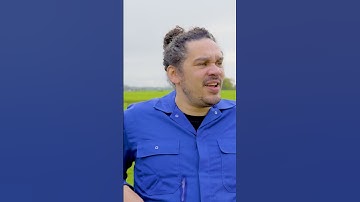 Mijn broer heeft een boek geschreven