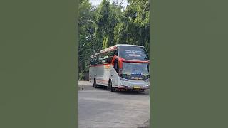 bus ke padang #bus #busmania #telolet #basuri #alhijrah #padang