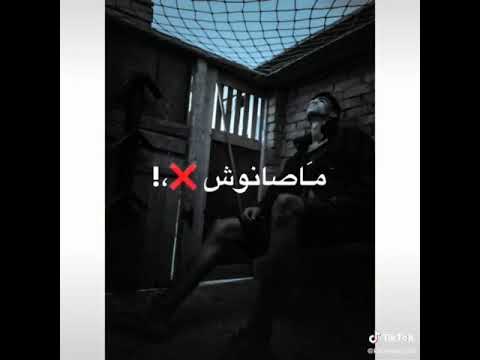 دنيا غريبه خلق وحوش عصام صاصا