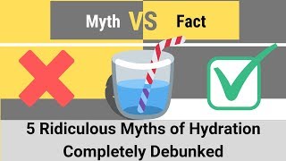 5 Common Hydration Myths Debunked - I Online Doctor