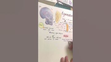 simple and aesthetic notes ♡ // my note-taking process ~