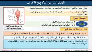 بث حيا 102 تييمس جهاز التكاثر في الانسان 15 4 2021