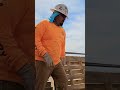 PATRON GRITON Construction Viral Comedy Albañiles Masonry Mason Video Humor Work Jajaja PATRON GRITON Construction Viral Comedy Albañiles Masonry Mason Video Humor Work Jajaja