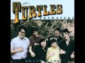 The Turtles - Cat In The Window