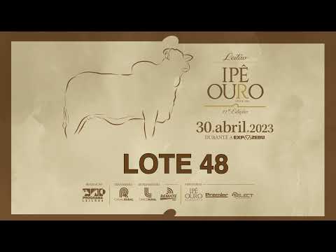 LOTE 48 SAU 341