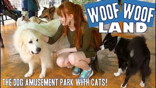 Japan's dog amusement park | WanWan Land!!