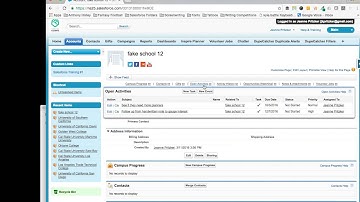 Logging and Reporting on Activities in Salesforce