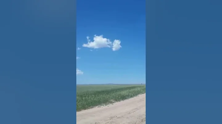 FLYING A KITE