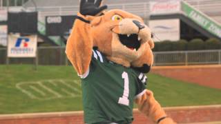 Beyond The Rufus