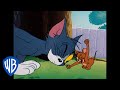 Tom y Jerry en Español | Dibujos Clásicos 117 | WB Kids