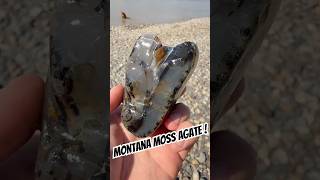 Montana Agate #agate #montana #adventure #rockhounding #outdoors #yellowstoneriver #dog #treasure