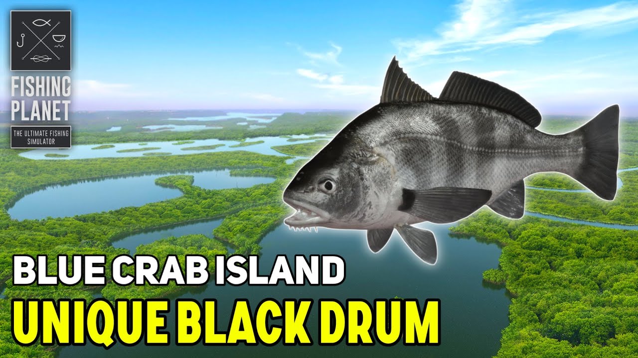 Unique Black Drum Blue Crab Island - Fishing Planet