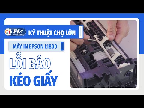 Các bước reset máy in Epson K100 khác nhau với các model máy in khác như thế nào? Các bước reset máy in Epson K100 khác nhau với các model máy in khác như thế nào?