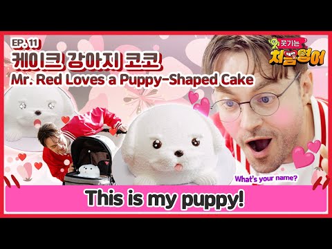 웃기는 처음 영어 - <strong>Mr</strong>  Red Loves a Puppy Shaped <strong>Cake</strong>