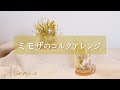 【ミモザ新商品】ガラスドーム/コルクガラス