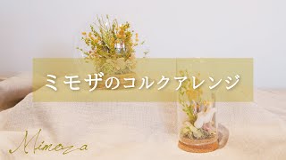 【ミモザ新商品】ガラスドーム/コルクガラス