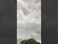 Formação de temporal⛈️🍃 #paisagemnatural #chuva #rain