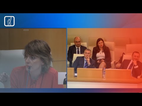 ხატია დეკანოიძის მიმართვა ღარიბაშვილს