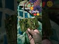 કોન કોન સ્ટાર ના દિવાના છે 🥰😂
