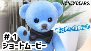 ヴァリアス・アーティスト / ハニーベアーズ【HONEY BEARS. クリス