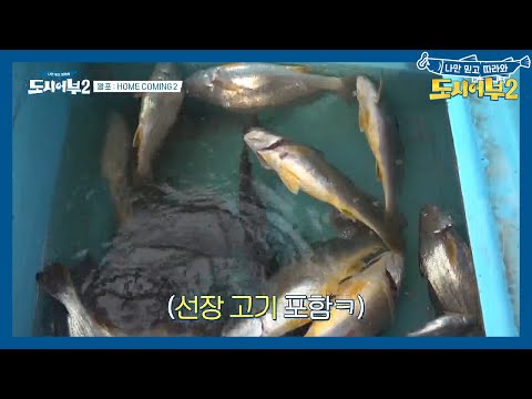 <strong>80마리</strong> 도전 가즈아아~ | 도시어부 시즌2 27 회