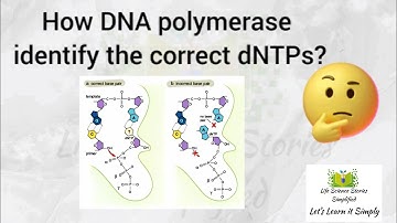 How DNA polymerase identify correct dNTPs? | DNA polymerase enzyme mechanism | in Malayalam