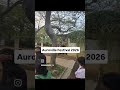 Auroville Festival 2026, Matri Mandir, Auroville. #travel #tamilnadu #puducherry #fyp #explore