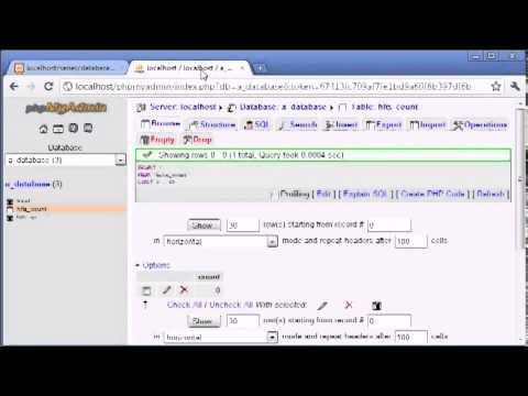 Beginner PHP Tutorial   124   Creating a Database Hit Counter Part 2 flv