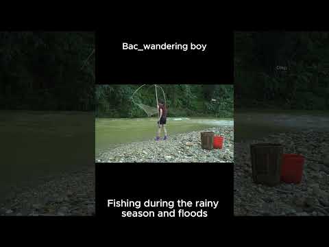 Traditional fishing techniques #bac_wanderingboy #photography   #fishingskills #shorts