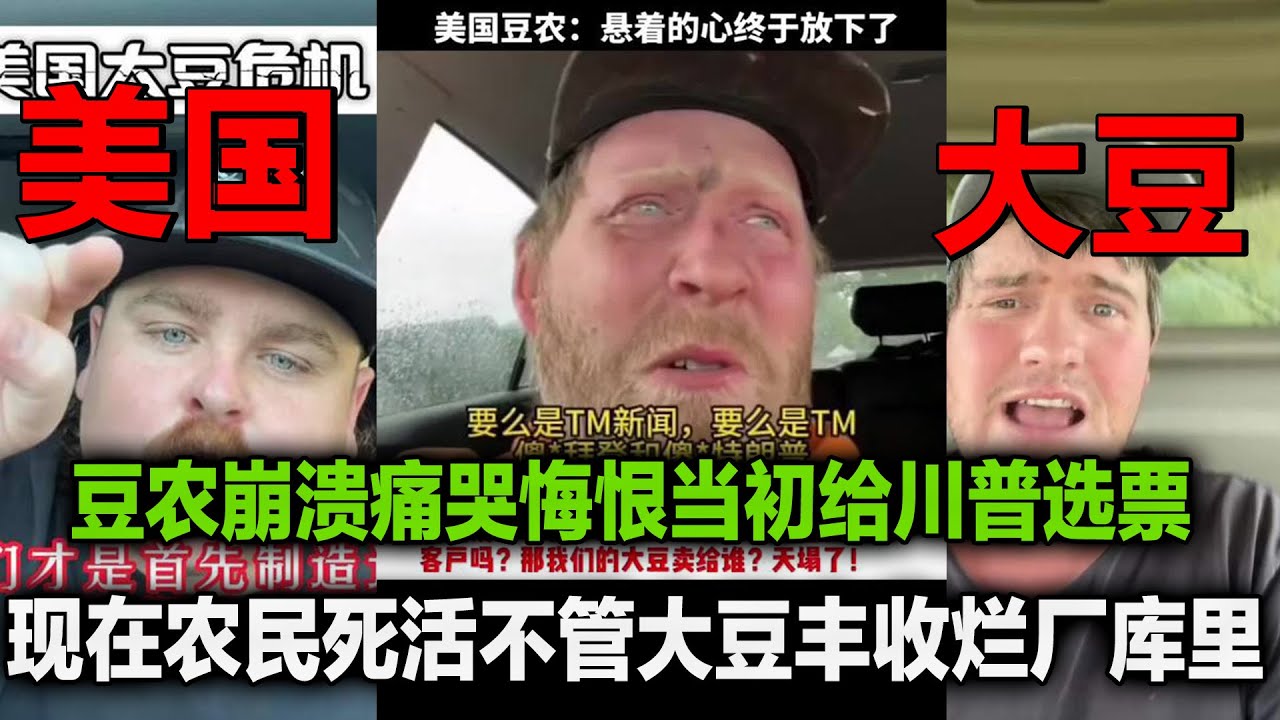 American farmers cry over soybean sales: Voting for Trump was a wrong choice！