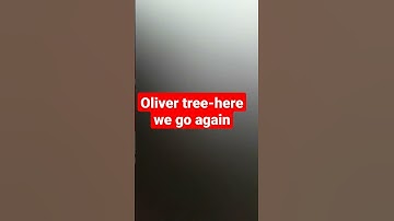 oliver tree-here we go again