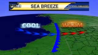 seabreeze.mov screenshot 5