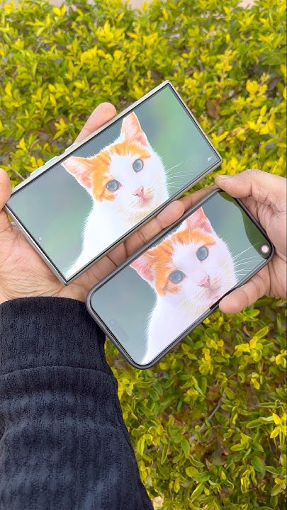 Super Retina Xdr Vs Dynamic Amoled 2x Samsung Dynamic Amoled 2x Display Vs Iphone Super Retina XDR Display #