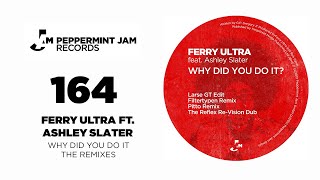 Ferry Ultra feat. Ashley Slater - Why Did You Do It (Filtertypen Remix)