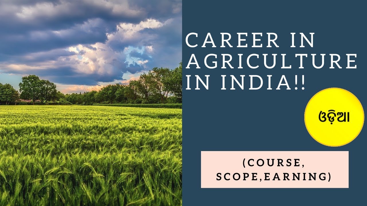 phd agriculture jobs india