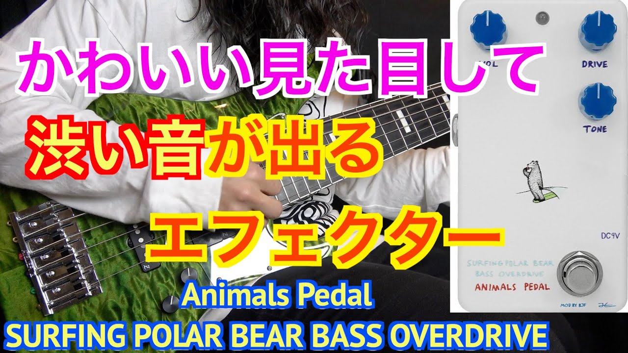 【極美品】アニマルズペダル SURFING POLAR BEAR BASS OD