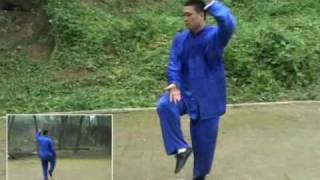 Taiji - Chen Style Old Frame 1st Way 陳二虎 陳氏老架一路 (Part I)