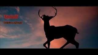 Maximo Alfonso - Danza Del Venado Yaki
