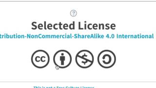 Adding A Creative Commons License To Acorn