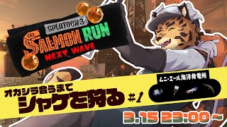 【サーモンランNW/参加型/ムニエール/V限凸待】鮭狩労働-サーモンラン-は加速するかも！！＃１【樫城槌/Vtuber】